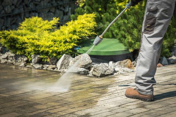 Professional Pressure Washing Services in Spring Grove, MN